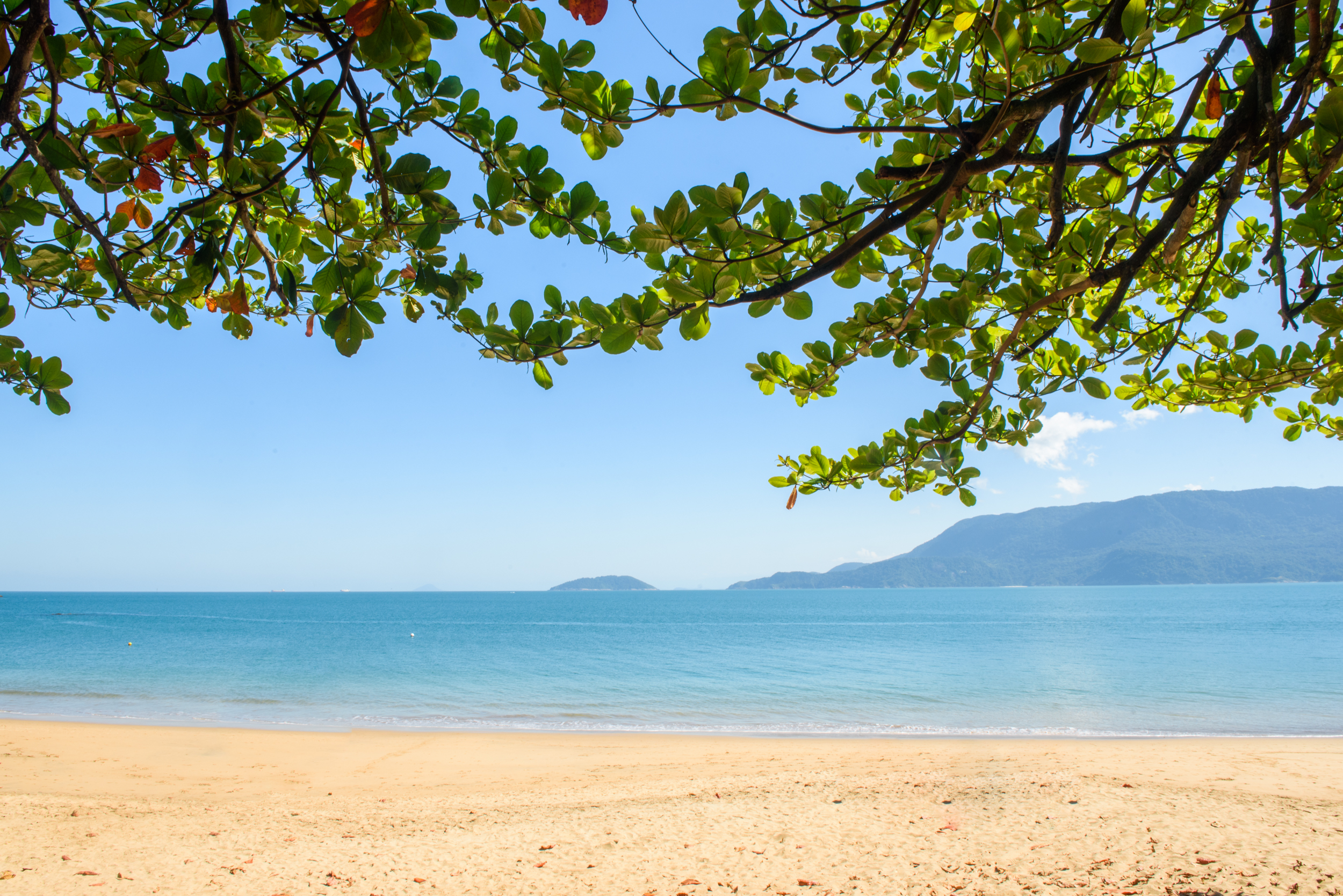 Praia do Curral